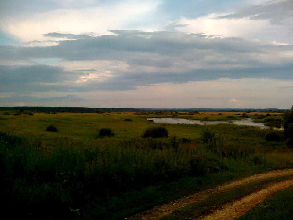 A_landscape_in_the_surroundings_of_Timoshkino_(Shilovsky_District,_Ryazan_Oblast)._4