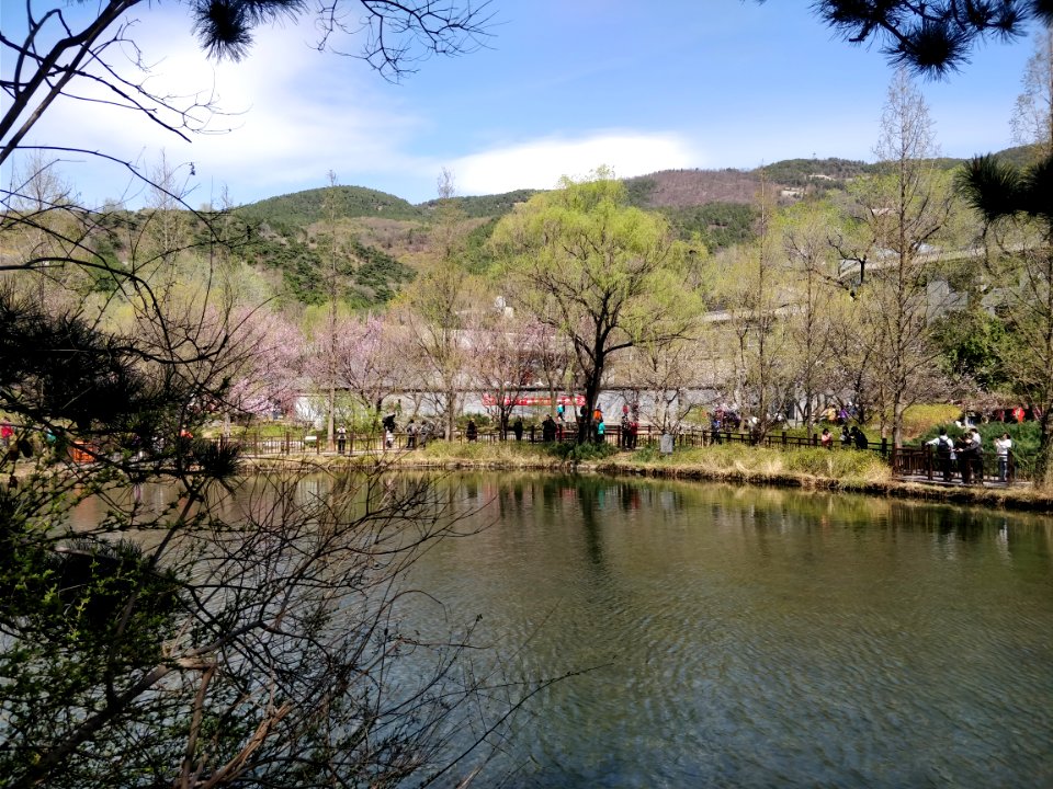A_lake_in_Beijing_Botanical_Garden5