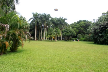 A_lawn_of_East_Lake_Park