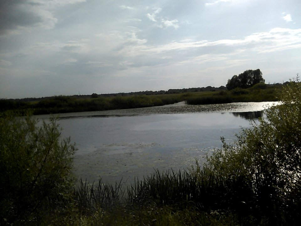 A_landscape_in_the_surroundings_of_Timoshkino_(Shilovsky_District,_Ryazan_Oblast)._5
