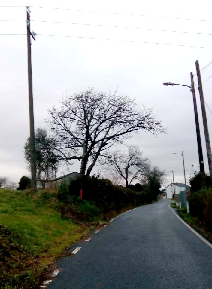 A_Braña_Doso_Narón_A_Coruña