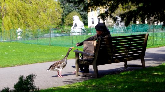 A_lady_giving_some_bread_to_a_duck_in_Kew_Gardens