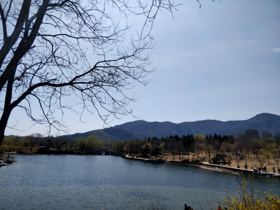 A_lake_in_Beijing_Botanical_Garden3