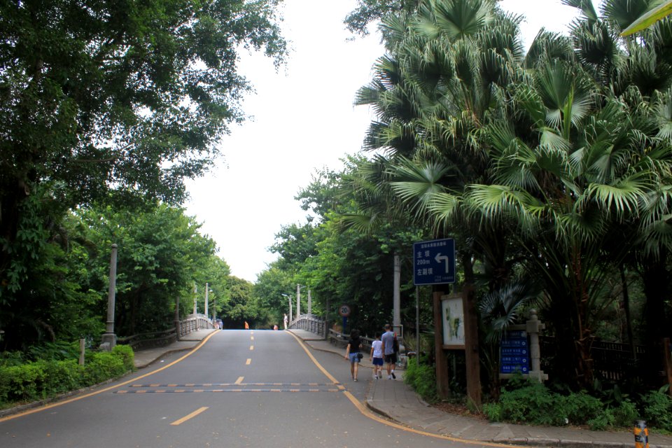 A_bridge_of_East_Lake_Park