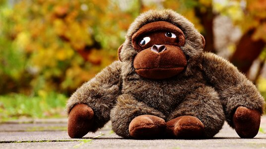 Stuffed animal soft toy cute