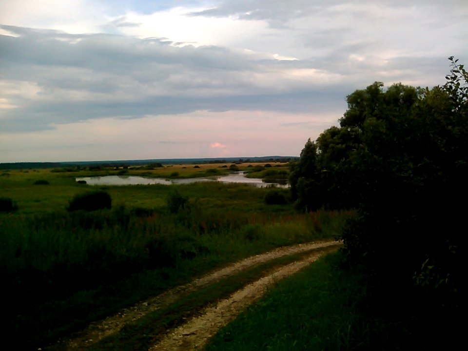 A_landscape_in_the_surroundings_of_Timoshkino_(Shilovsky_District,_Ryazan_Oblast)._3
