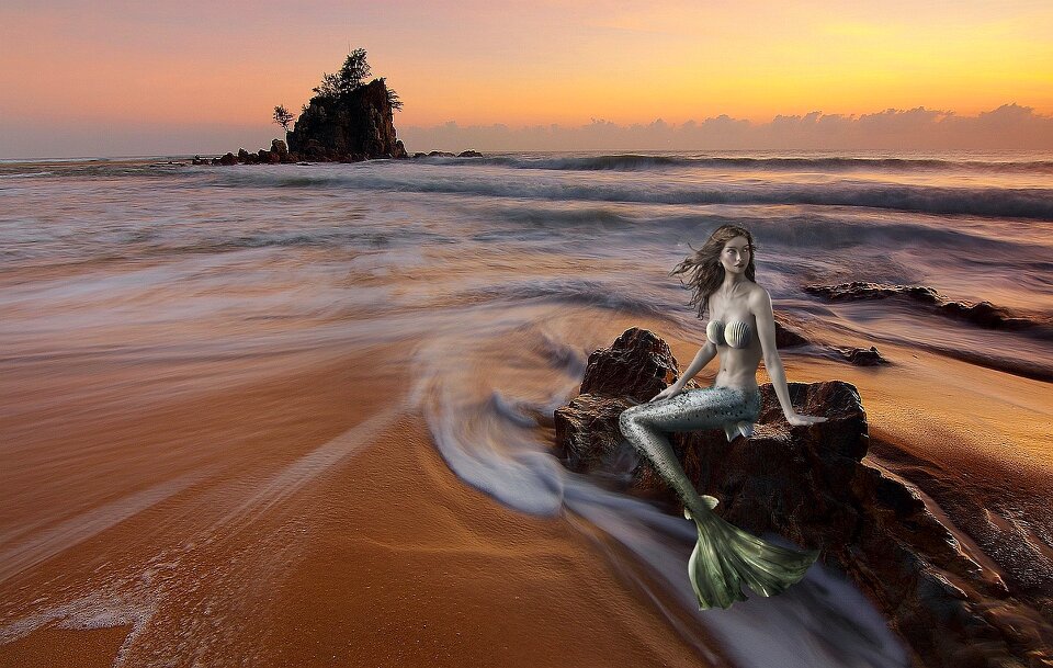 Mermaid siren sea fantasy