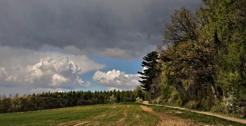 Way poland field photo