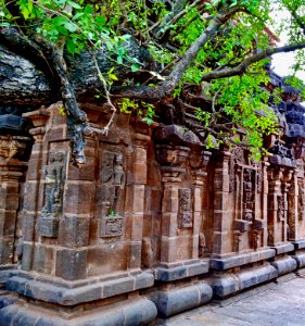 9th_century_Golingeswara_temple,_Biccavolu_Andhra_Pradesh_-_09