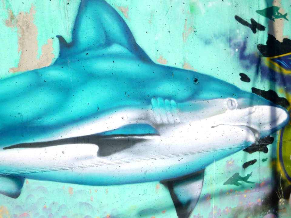 A_Coruña_-_Graffiti_16