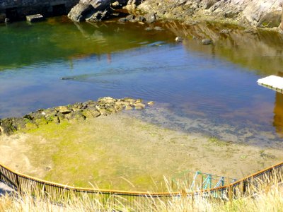 A_Coruña_-_Aquarium_Finisterrae_(Casa_dos_Peixes)_01