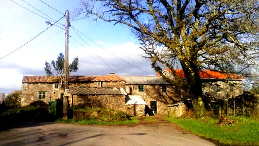 A_Corte_do_Mato_Rodeiro_Oza-Cesuras