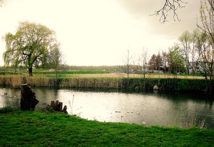 Green landscape tree photo