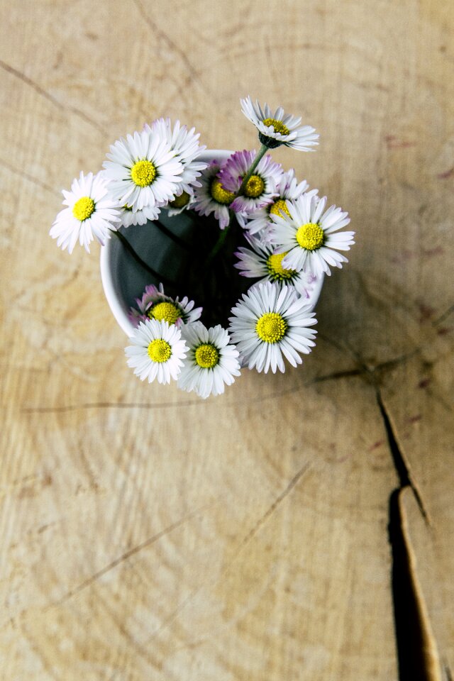 Flowers deco wildflowers