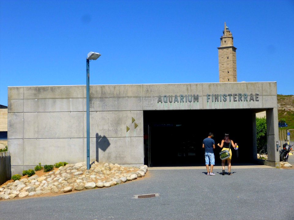 A_Coruña_-_Aquarium_Finisterrae_(Casa_dos_Peixes)_02
