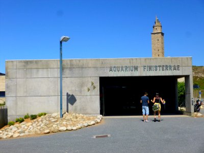 A_Coruña_-_Aquarium_Finisterrae_(Casa_dos_Peixes)_02