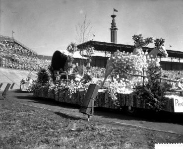 Aalsmeer_bloemencorso_en_stadionspel_Maskerade,_praalwagen_voorstellende_Peer,_Bestanddeelnr_910-6546