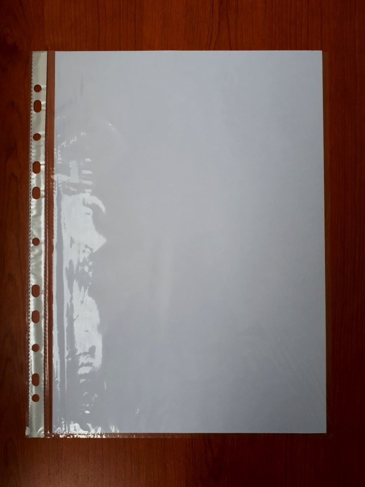 A4_sheet_inside_a_punched_pocket_-_A