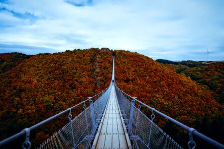 Foliage landscape bridge