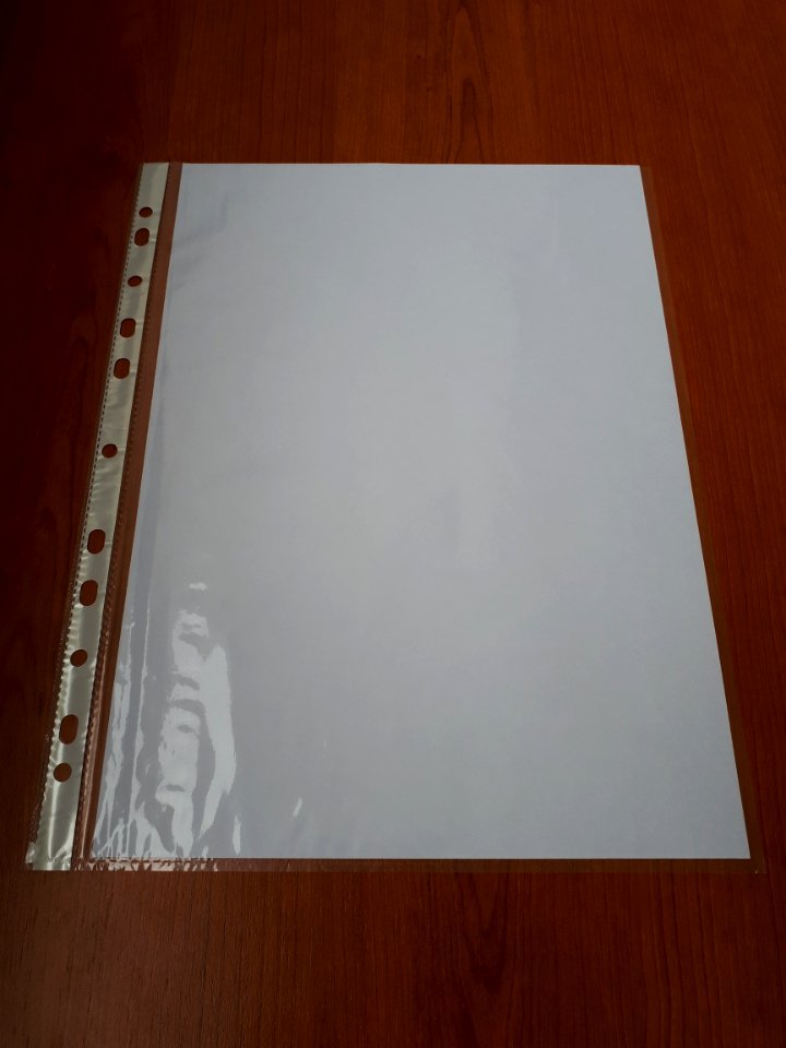 A4_sheet_inside_a_punched_pocket_-_Ai