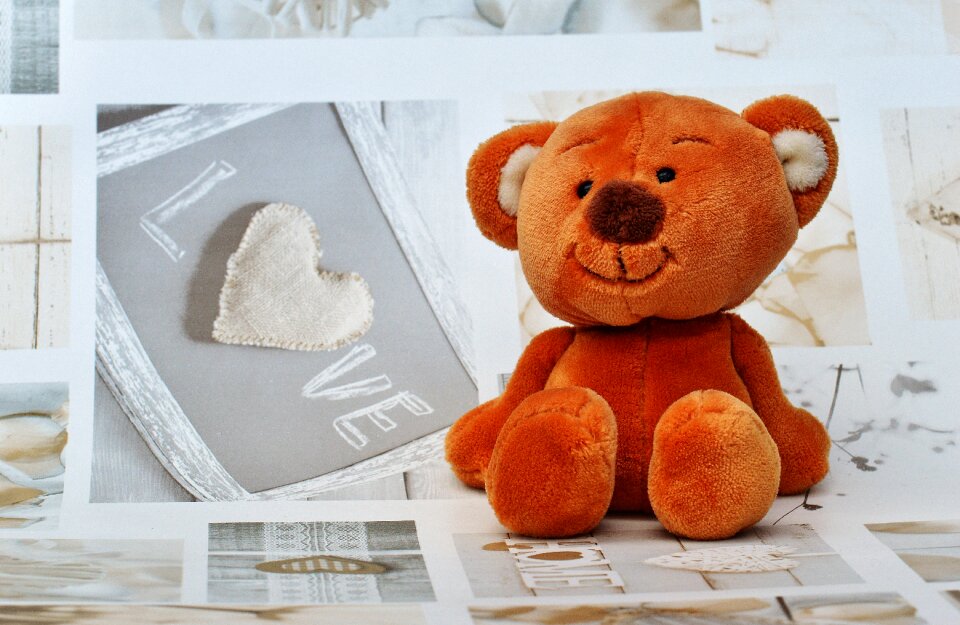 Bears plush sweet photo