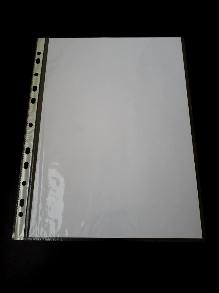A4_sheet_inside_a_punched_pocket_-_Bi