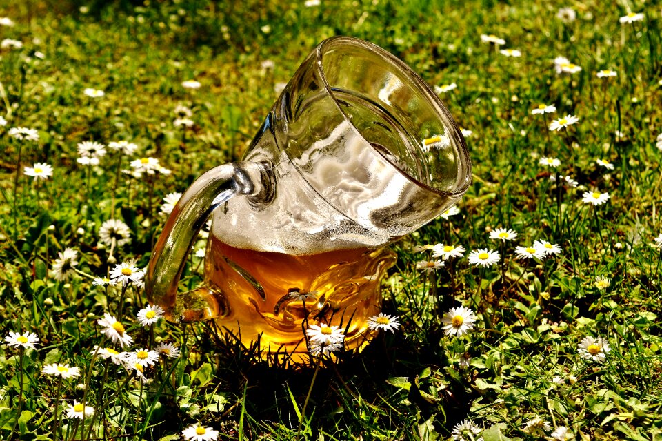 Bent funny beer garden