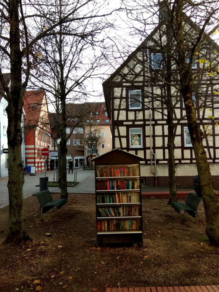 Aalen_buecherschrank