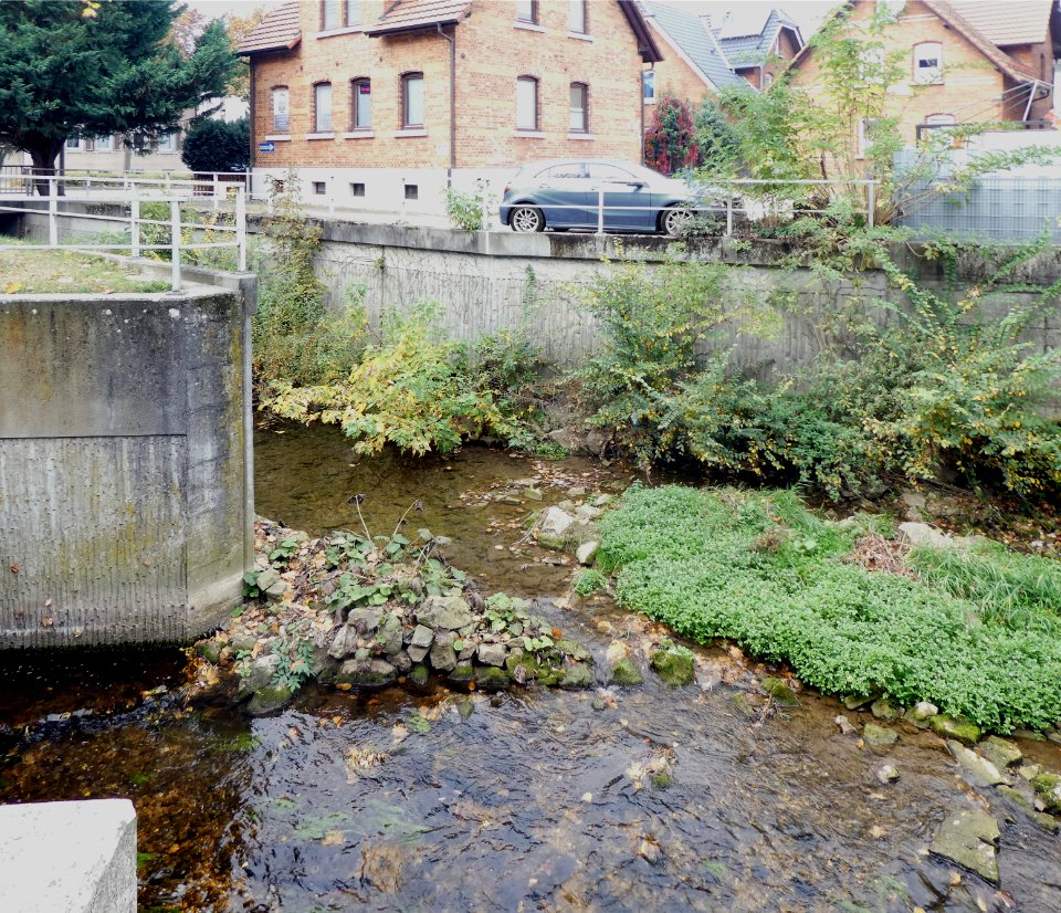 Aalen,_Aalmündung_v_O,_2