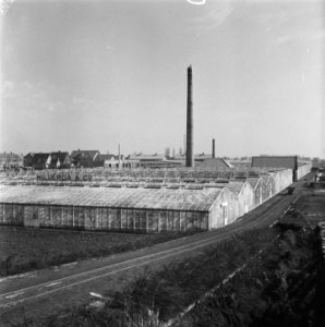 Aalsmeer,_Bestanddeelnr_902-1229