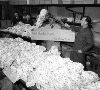 Aalsmeer._Bloemen_voor_Amerika,_Bestanddeelnr_905-0305