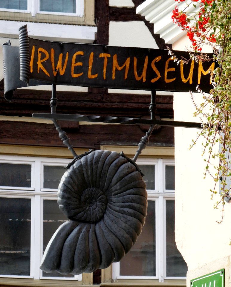 Aalen,_Nasenschild_Urweltmuseum,_1