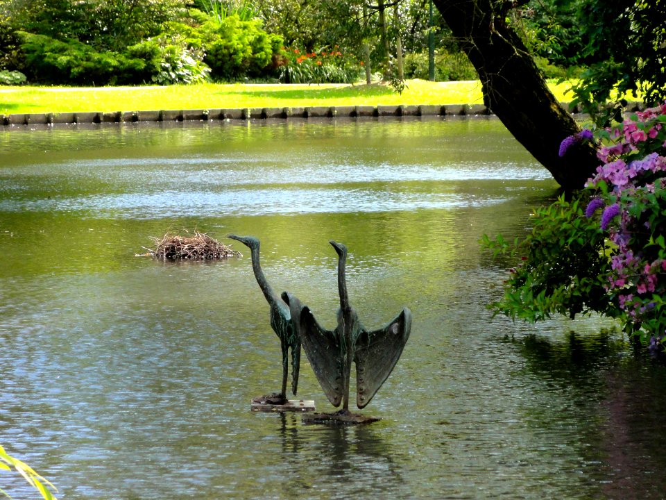 Aalscholvers_Van_Bergen_IJzendoornpark_Gouda