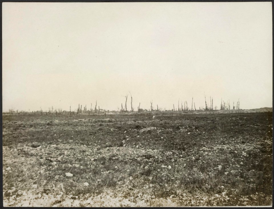 A_view_of_Ovillers.,_Bestanddeelnr_158-1836