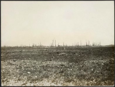 A_view_of_Ovillers.,_Bestanddeelnr_158-1836