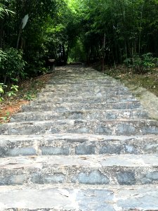 A_stone_footpath_in_Guangming_Butterfly_Valley