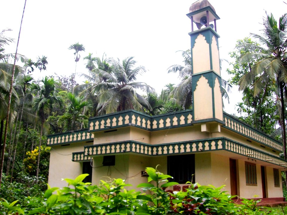 A_small_mosque_in_Kerala