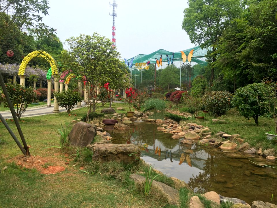 A_stream_in_Guangming_Butterfly_Valley
