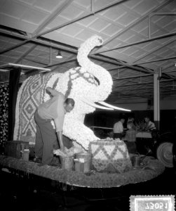 Aalsmeer_optuigen_der_bloemenwagens_voor_defile,_Bestanddeelnr_907-3051