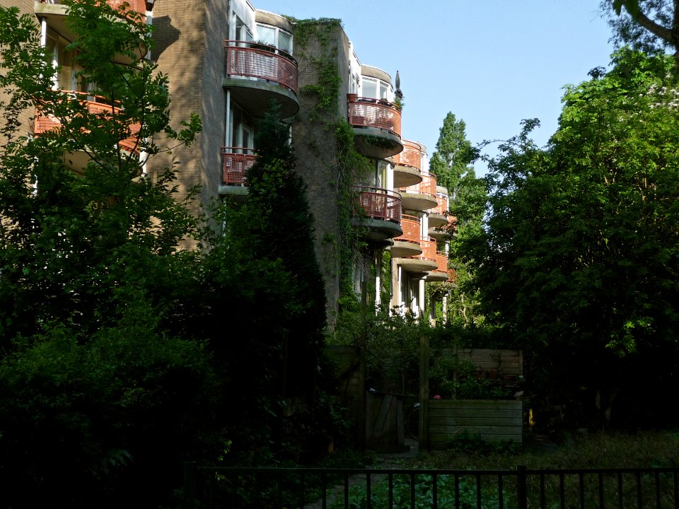 A_view_on_green_back-gardens_and_shadows_of_trees_between_HoogteKadijk_and_Laagtekadijk,_Amsterdam;_FotoDutch,_May_2013