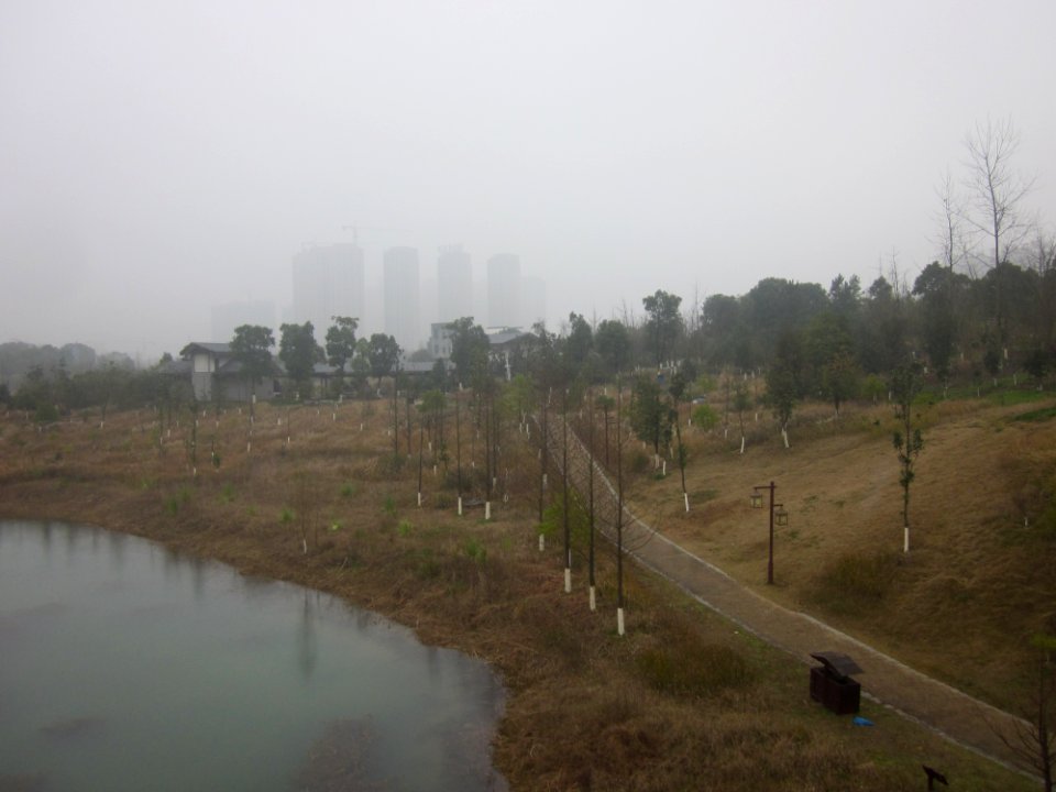 A_stream_in_Yanghu_Wet_Land,_picture2