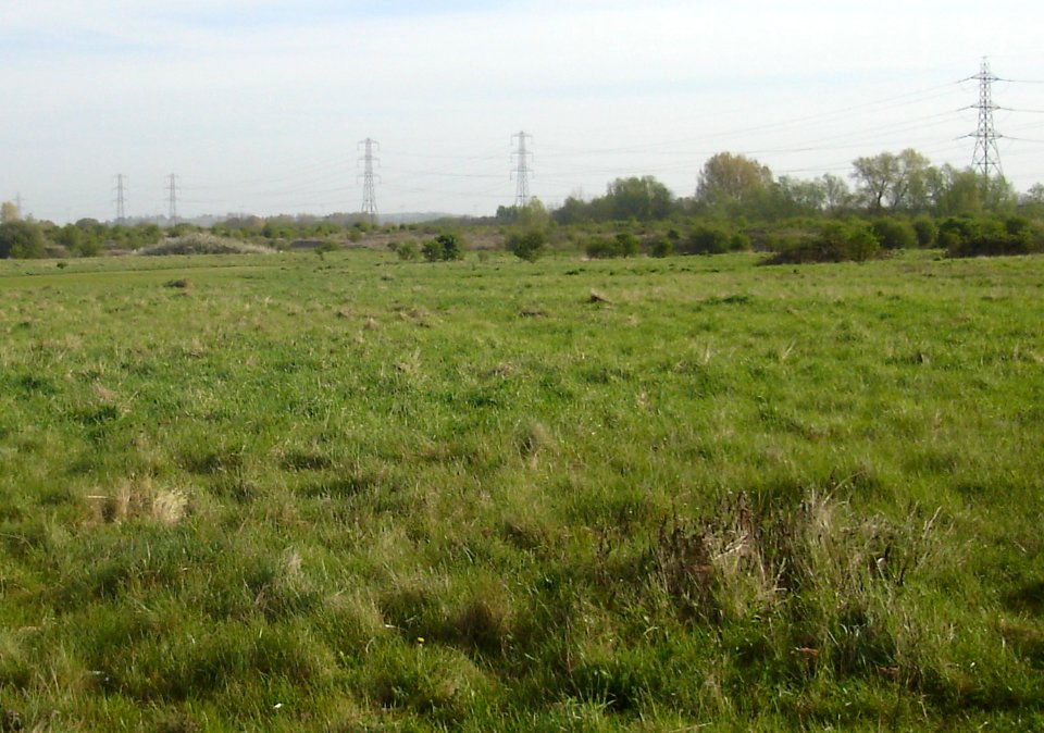 A_view_across_Rammey_Marsh_(cropped)