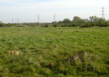 A_view_across_Rammey_Marsh_(cropped)
