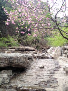 A_stream_at_the_foot_of_Mount_Langya_in_Hebei