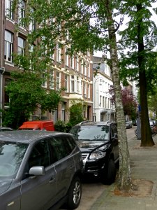 A_see-through_picture_in_spring_of_the_Plantage_Muidergracht_in_Amsterdam;_high_resolution_image_by_FotoDutch_in_June_2013