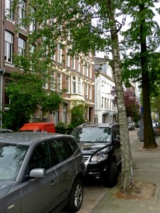 A_see-through_picture_in_spring_of_the_Plantage_Muidergracht_in_Amsterdam;_high_resolution_image_by_FotoDutch_in_June_2013 photo