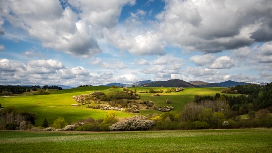 Meadow landscape sky