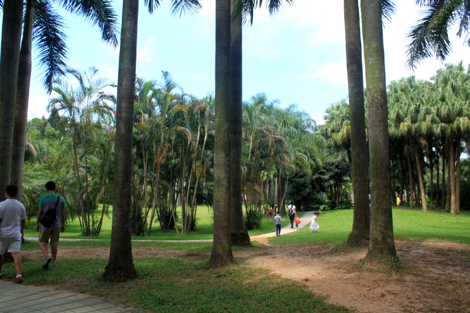 A_shady_path_of_East_Lake_Park1
