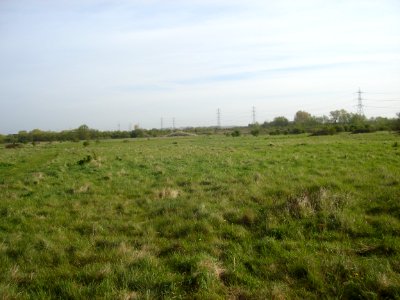 A_view_across_Rammey_Marsh
