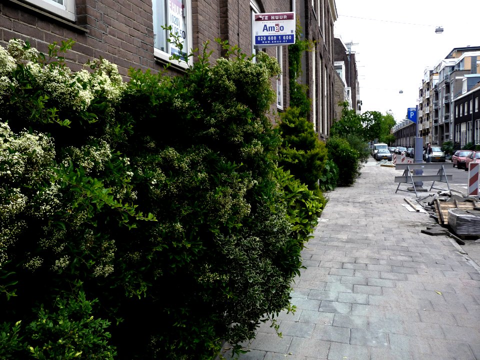 A_view_through_the_street_Hoogte_Kadijk,_Amsterdam_-_photo_is_direction_Sarphatistraat;_high_resolution_image_by_FotoDutch,_June_2013